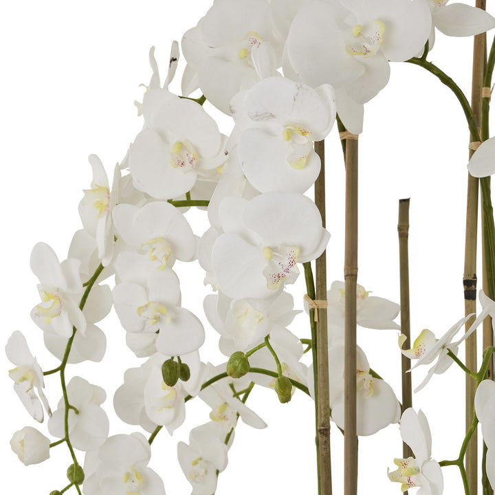 5ft Oversized White Phalaenopsis Orchid in Antique Stone Pot