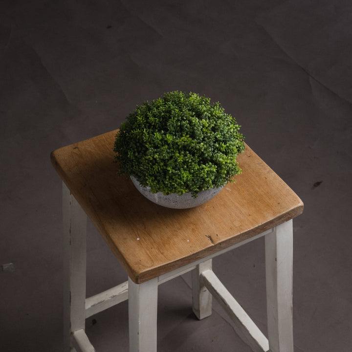 Faux Green Hebe Veronica in Aged Pot