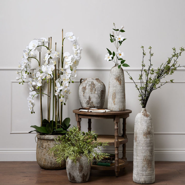 5ft Oversized White Phalaenopsis Orchid in Antique Stone Pot