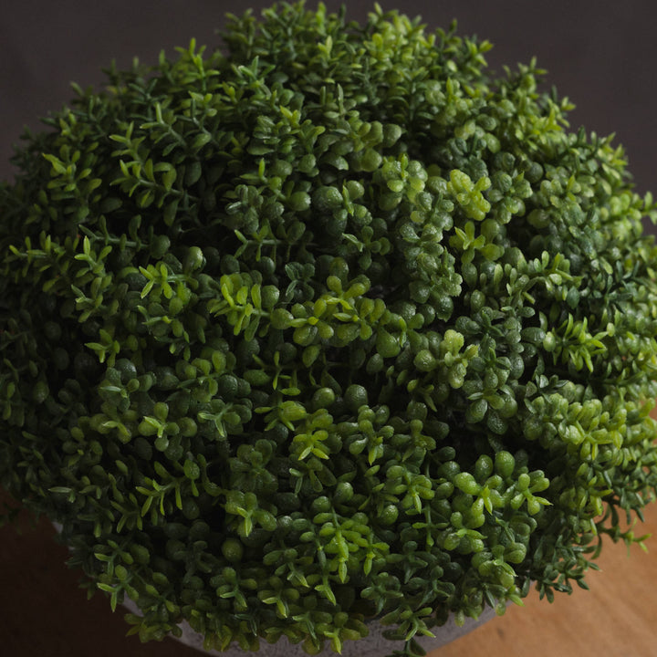 Faux Green Hebe Veronica in Aged Pot