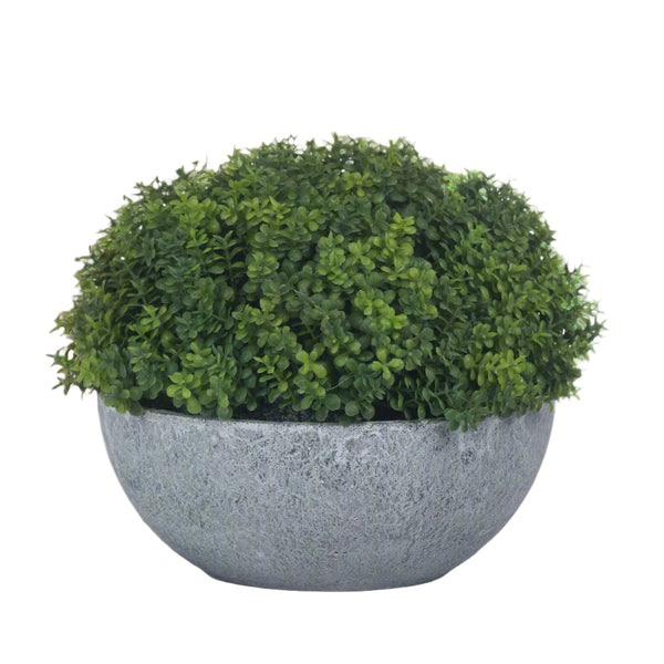 Faux Green Hebe Veronica in Aged Pot